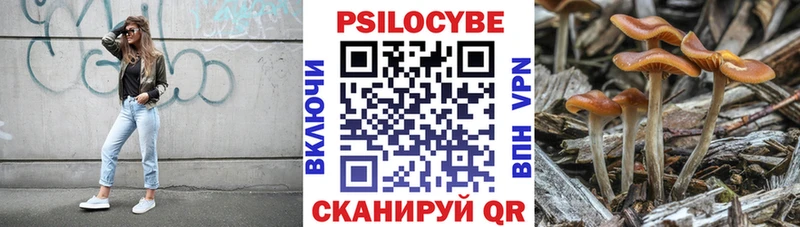 где купить наркотик  Ленинградская  Псилоцибиновые грибы GOLDEN TEACHER 